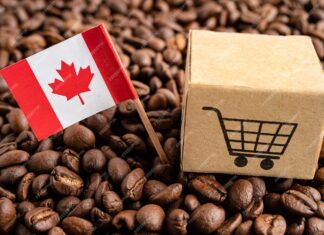 Reconsider Before Renewing Your Amazon Prime Membership